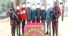 দিনাজপুরের বিরল সীমান্তে অবৈধ অনুপ্রবেশকালে ৭ বাংলাদেশি আটক